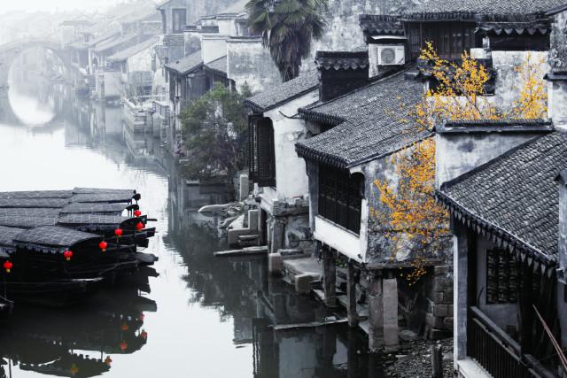 懒惰男孩拯救
